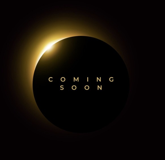 Modern apartment interior with olive green accent walls and black fixtures